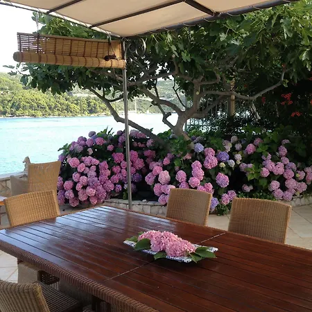 Almadria (adults Only) 4*